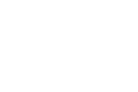 Logo client netspi 001